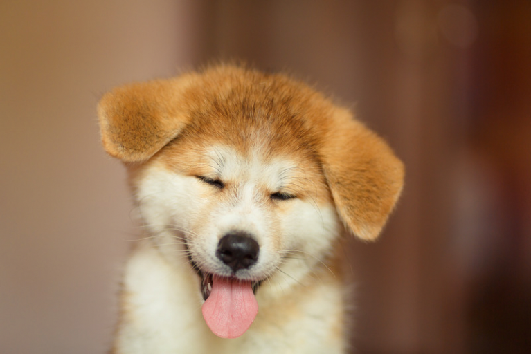 HappyMax-Blog-DontBreak5