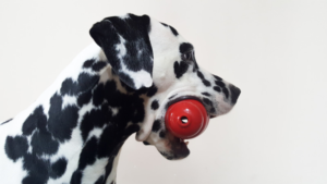 HappyMax - Blog - FavToy3