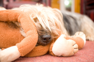 HappyMax - Blog - FavToy4