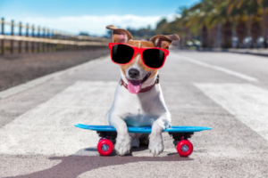 HappyMax-Blog-Skateboard3
