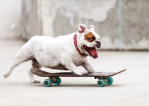 HappyMax-Blog-Skateboard4