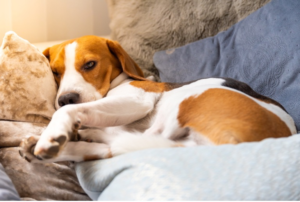 HappyMax-Blog-Sleep2
