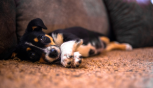 HappyMax-Blog-Sleep4